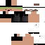 Texture for AgentLizard