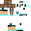 Texture for ninja