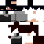 Texture for Saske