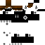 Texture for DEXTER