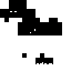 Texture for ş