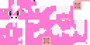 Texture for Rafa cow