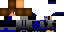 Texture for Nerf