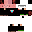 Texture for <sedt,<wet,