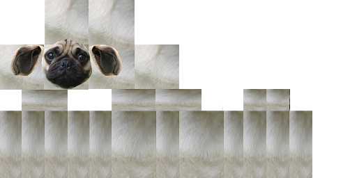 Texture for dog
