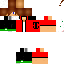 Texture for Paca2