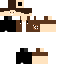Texture for danidino