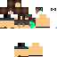 Texture for safrs