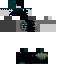 Texture for Sculk trmc