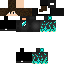 Texture for Hooooola