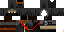 Texture for ninja