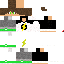 Texture for SkylimBr
