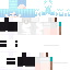 Texture for ZeNn ID