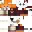 Texture for zorrito