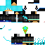 Texture for ds
