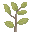 Texture for Loafcraft Birch Sapling