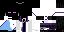Texture for  Ender