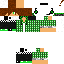 Texture for camelito05