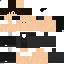 Texture for PistonPlayer
