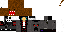 Texture for domo