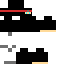 Texture for ninja