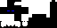 Texture for Enderman