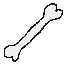 Texture for A bone