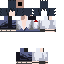 Texture for saske
