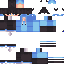 Texture for Rifan_blueME