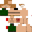 Texture for maxim