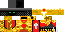 Texture for king