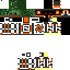 Texture for jimituga7