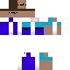 Texture for roy2110