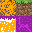 Texture for grass-block