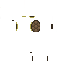 Texture for turtle shell