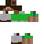 Texture for Steve