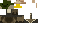 Texture for Duck Duck