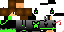 Texture for werwt