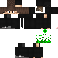 Texture for CauamDogbr