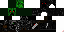 Texture for Creeper Assassin