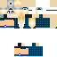 Texture for t5
