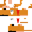Texture for tiger