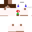 Texture for steve