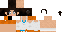 Texture for Chell