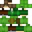 Texture for turtle