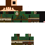 Texture for Link
