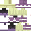 Texture for shulker