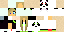Texture for meganasta