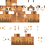 Texture for YunieFox