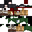 Texture for Mikasa